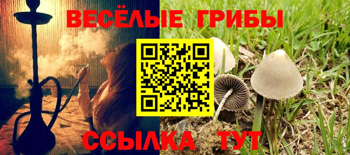 Галлюциногенные грибы мухоморы Тавда