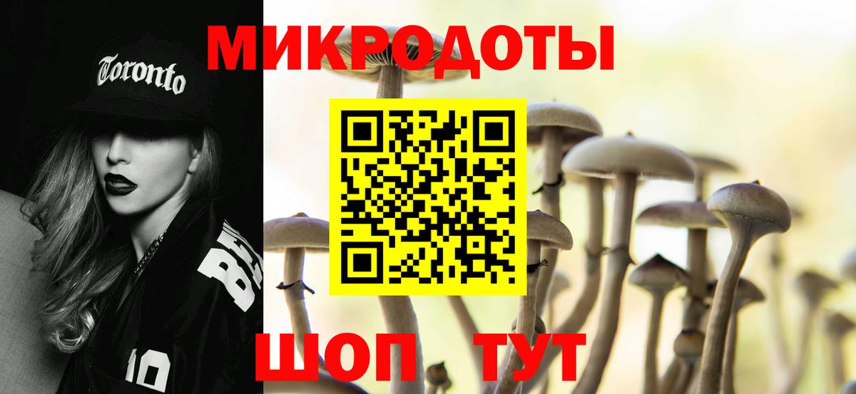 Тавда  Псилоцибиновые грибы Psilocybe  Галлюциногенные грибы мухоморы  Вход с VPN 